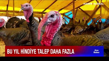 Yılbaşı hindileri satışa çıktı