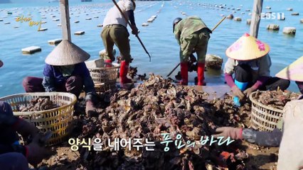 인간과 바다 - 숙명의 바다, 베트남_#001