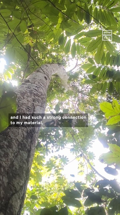 Artist-Activist Is Helping Regrow the Panamanian Rainforest