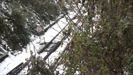 Snow and strikes cause double mayhem on kent roads and trains