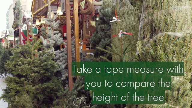 Tips for Trimming the Christmas Tree