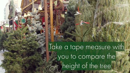 Tips for Trimming the Christmas Tree