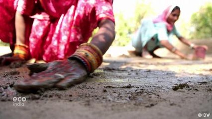 Planting trees in the desert