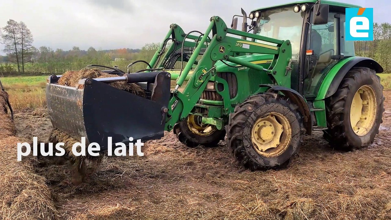 En Pologne, les Kowalewski croient dans le lait