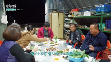 한국기행 - Korea travel_고흥이 좋아서 2부- 유자마을 이장님_#002