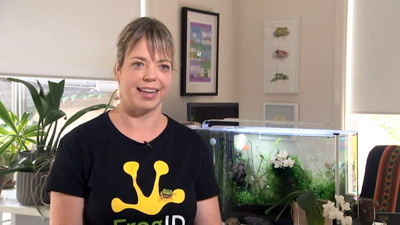 Album of frog calls to raise awareness to shrinking amphibian populations