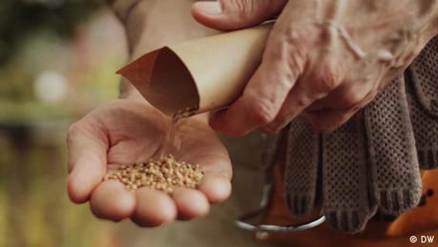 Fighting back against the seed cartels