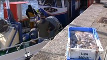 España aumenta las cuotas de pesca en el Atlántico, pero tiene que reducir los días de faena en el Mediterráneo