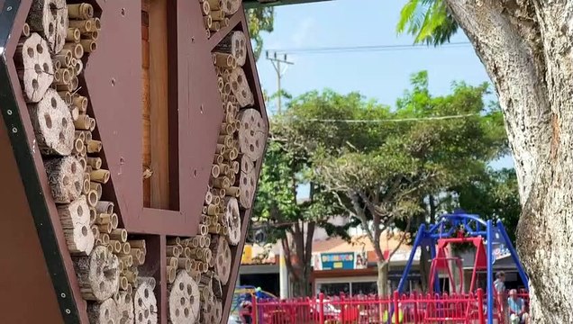 Hoteles para abejas potencian polinización en Costa Rica