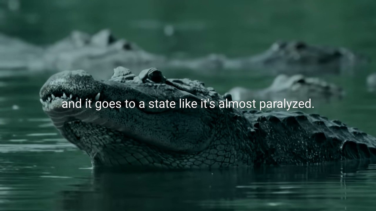RELENTLESS Best Motivational Speech