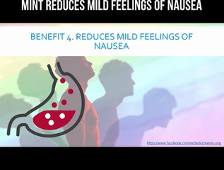 Mint reduces mild feelings of nausea