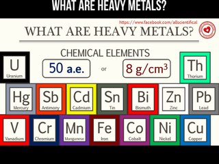 What are heavy metals?