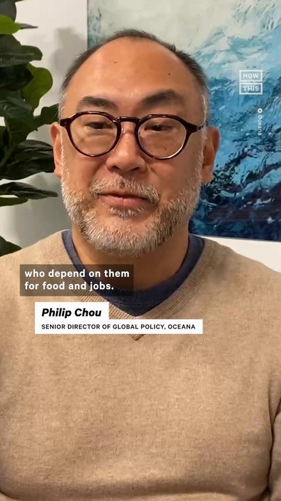 How Illegal Fishing Harms Marine Ecosystems