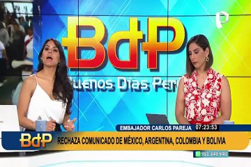 "Alienta a los revoltosos": Embajador Pareja sobre comunicado de Colombia, Bolivia, México y Argentina