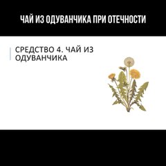 Чай из одуванчика при отёчности