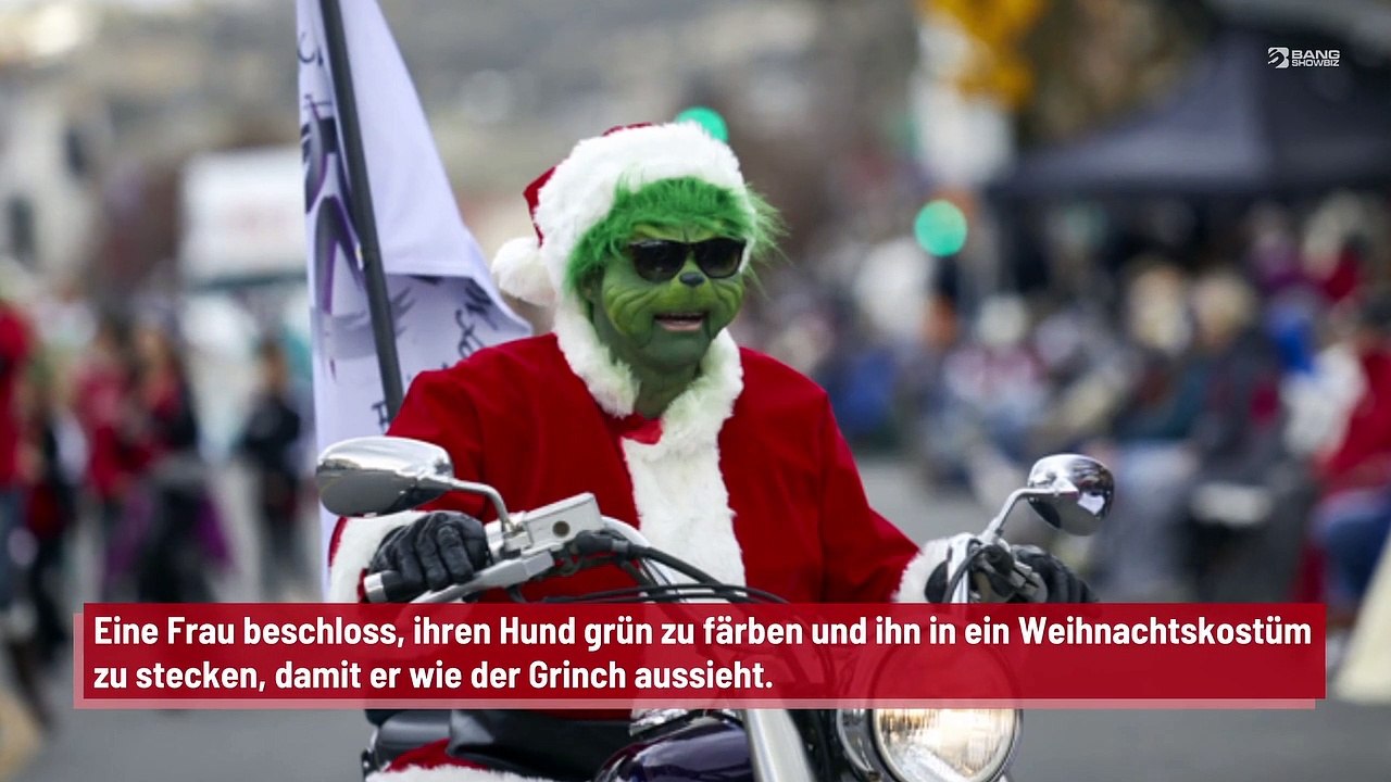 Frau färbt ihren Hund grün