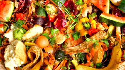 Here’s How Experts Say You Can Make Perishable Food Items Fresher For Longer