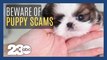12 Scams of Christmas: Puppy Scams