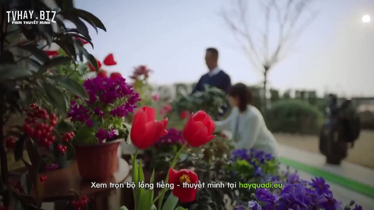 ai cũng biết em yêu anh tập 15 - vtv2 thuyết minh - phim trung quốc - xem phim ai cung biet em yeu anh tap 16