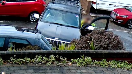 Doorbell cam catches moment dog ‘drives’ Jeep into parked car