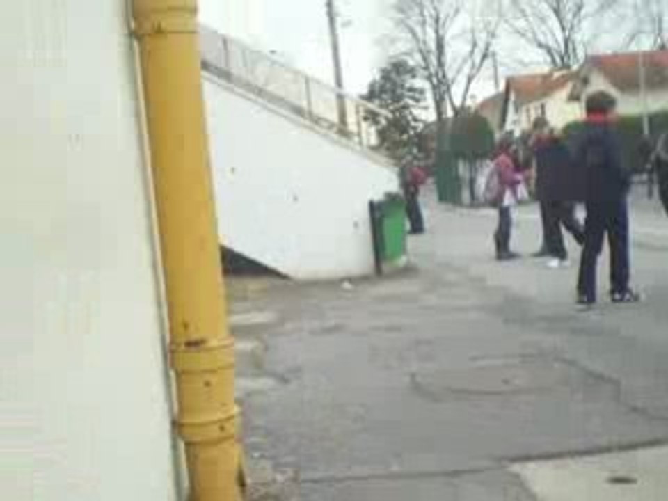 IMGP6811