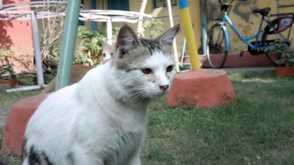 Best Before Death (2019) Watch HD