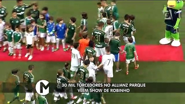 Melhores momentos de Palmeiras x Capivariano