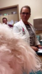 Veterinarian Gets Special Birthday Surprise