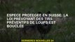 Espèces protégées en Suisse: la loi prévoyant un tir préventif de loup est achevée
