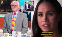 'There are more holes in their story than a colander': Royal experts hit out at Harry and Meghan's claims of 'institutional gaslighting' in latest Netflix trailer and warn 'no one will believe a word they say'