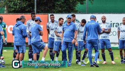 Palmeiras vence no sufoco e reclama de suspensões