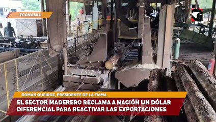 El sector maderero reclama a Nación un dólar diferencial para reactivar las exportaciones