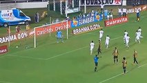 Vasco e Botafogo mantêm 100%, e Fla goleia veja os gols!