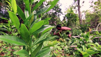 My Real Life-65 Days Build Billionaire Turtle Underground Swimming Pool