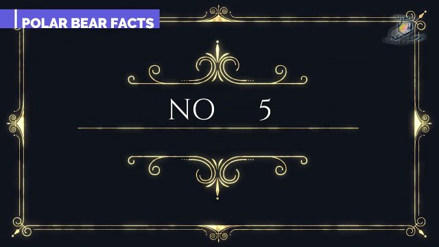 POLAR BEAR FACTS POLAR BEAR INFORMATION IN HINDI URDU ANIMAL VIDEO ANIMAL PLANET PK