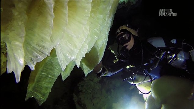 Bahama Blue - Blue Holes and Caves