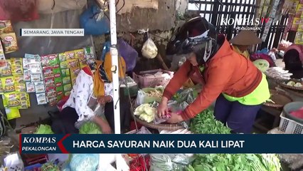 Harga Sayuran Naik Dua Kali Lipat