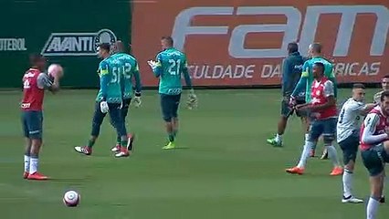 Palmeiras de volta aos treinos veja imagens