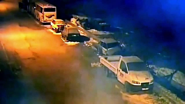 kangal dog vs wolf (2022) kangal dog vs wolf video kangal dog vs wolf real fight