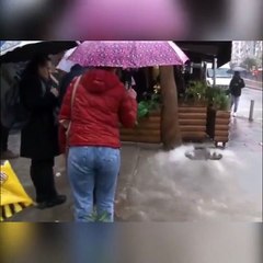 Selde boğulan lağım faresine kalp masajı yaptı