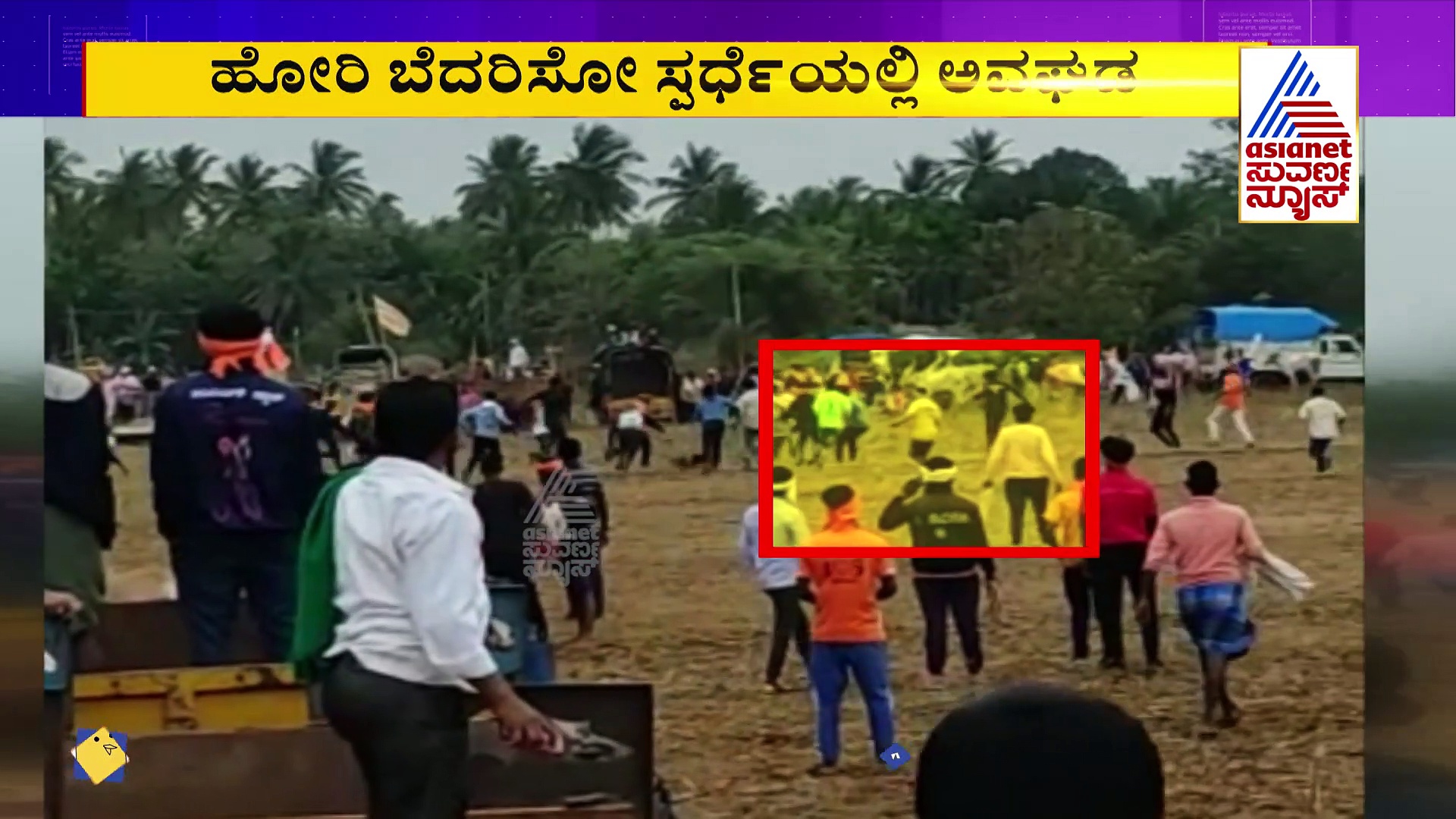 ಹೋರಿ ಬೆದರಿಸುವ ಸ್ಪರ್ಧೆ ವೇಳೆ ಅವಘಡ: ಯುವಕನನ್ನು ದರದರನೆ ಎಳೆದುಕೊಂಡು ಹೋದ ಹೋರಿಗಳು