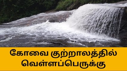 下载视频: கோவை குற்றாலத்தில் வெள்ளப்பெருக்கு-சுற்றுலா பயணிகளுக்கு தடை!