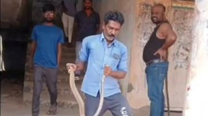 పరకాల: వీడియో.. ప్రభుత్వ జూనియర్ కళాశాలలో నాగుపాము కలకలం..!