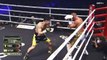 Naoya Inoue vs Paul Butler 井上尚弥vsポール・バトラー TKO _ IBF_WBC_WBO_WBA ボクシング フルファイト _ 2022年12月13日