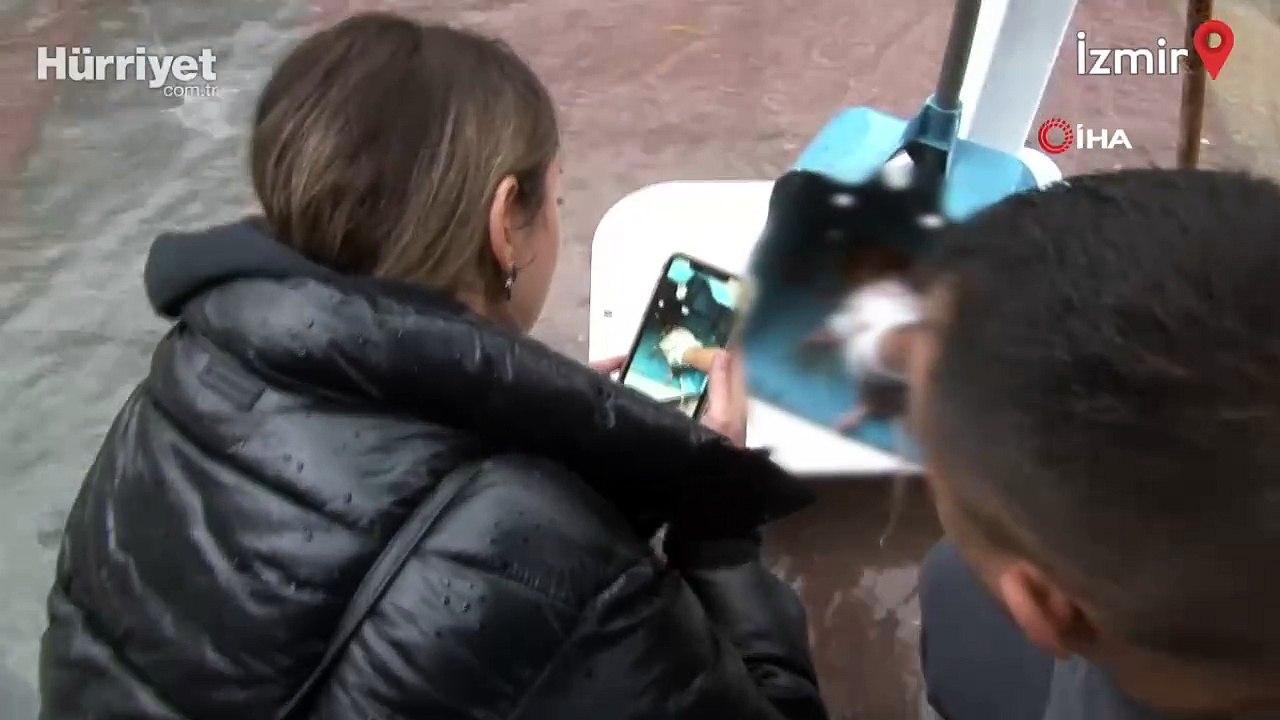 Telef olmak üzere olan fareye kalp masajı yaptı