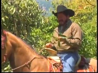 El Aguacatero: Película Completa 🎬