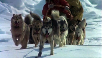 Antarctica Bande-annonce (EN)