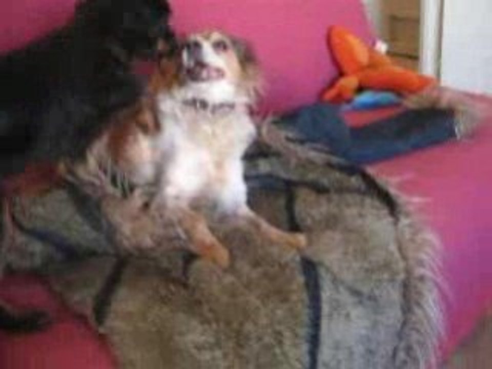 cléo et kimi