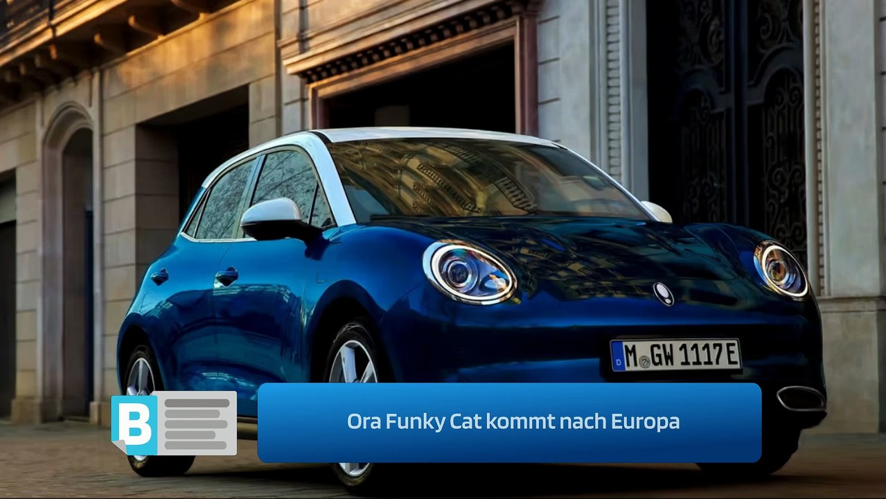 Ora Funky Cat kommt nach Europa