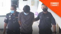 Mahkamah | Remaja nafi amang seksual kanak-kanak 11 tahun